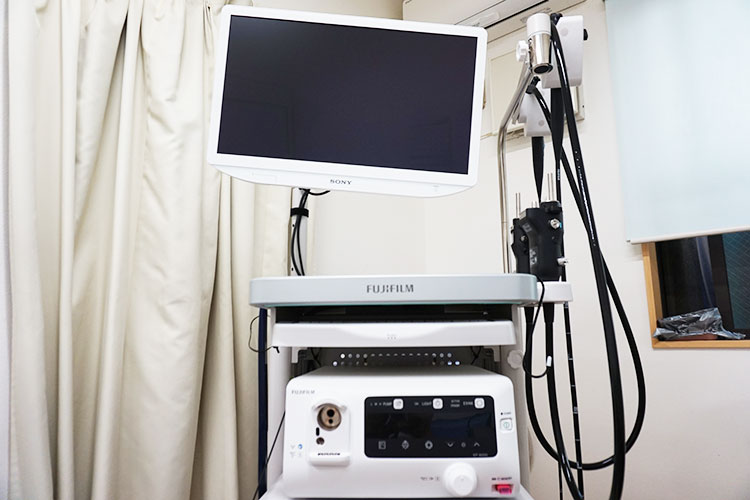 内視鏡検査装置（経鼻・経口）